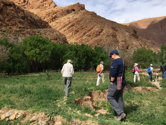 Our group had a lovely morning walking around the farms and villages