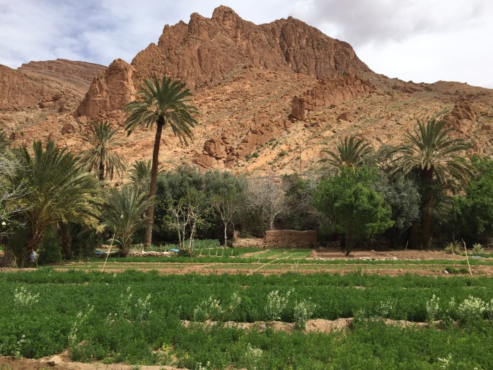 Lush fertile valley