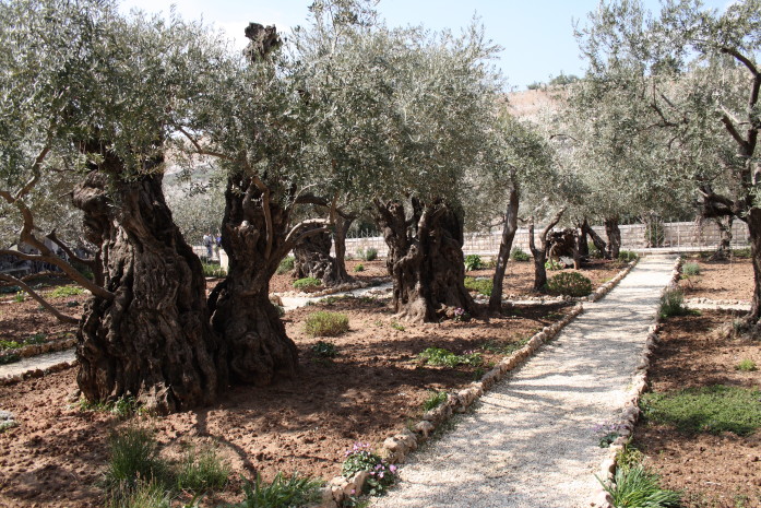 Garden of Gethsemane