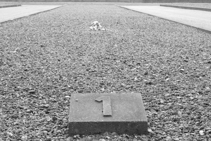 Dachau 247