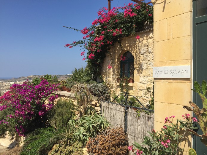 Peter and Helena's Garden and Plants